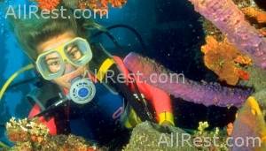 Divi Aruba Beach Resort Mega 22